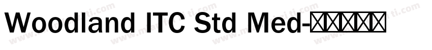 Woodland ITC Std Med字体转换